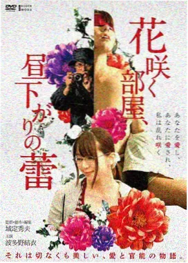 春光乍泄2